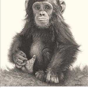 Meet your Posher, Luis